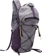 The North Face Gray & Purple Trail Lite 12 Backpack