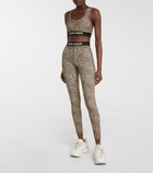 Palm Angels - Leopard-print sports bra