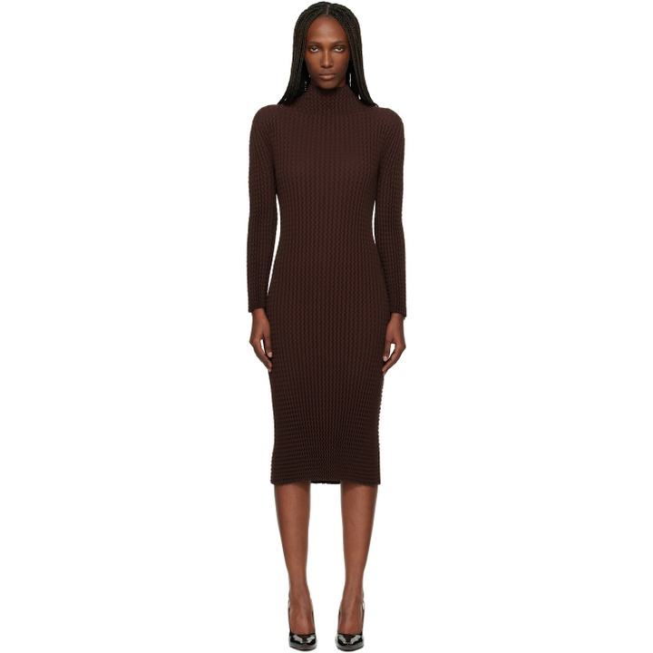 Photo: ISSEY MIYAKE Brown October Spongy-58 Midi Dress