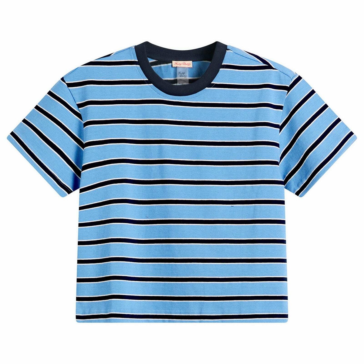 Fruity Booty Women's Jersey Stripe T-Shirt in Blue