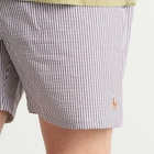 Polo Ralph Lauren Men's Stripe Traveler Swim Shorts in Nutmeg Brown Seersucker