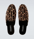 Dolce&Gabbana Leopard-print calf hair mules