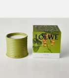 Loewe Home Scents Pistachio Medium scented candle