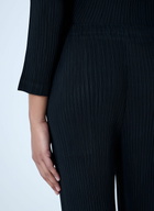 Issey Miyake Pleated Trousers
