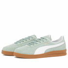 Puma Indoor Soft in Green Moon/White