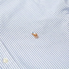 Polo Ralph Lauren Button Down Bold Stripe Oxford Shirt