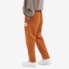 Air Jordan Men's Statement Fleece Pant in Desert Bronze