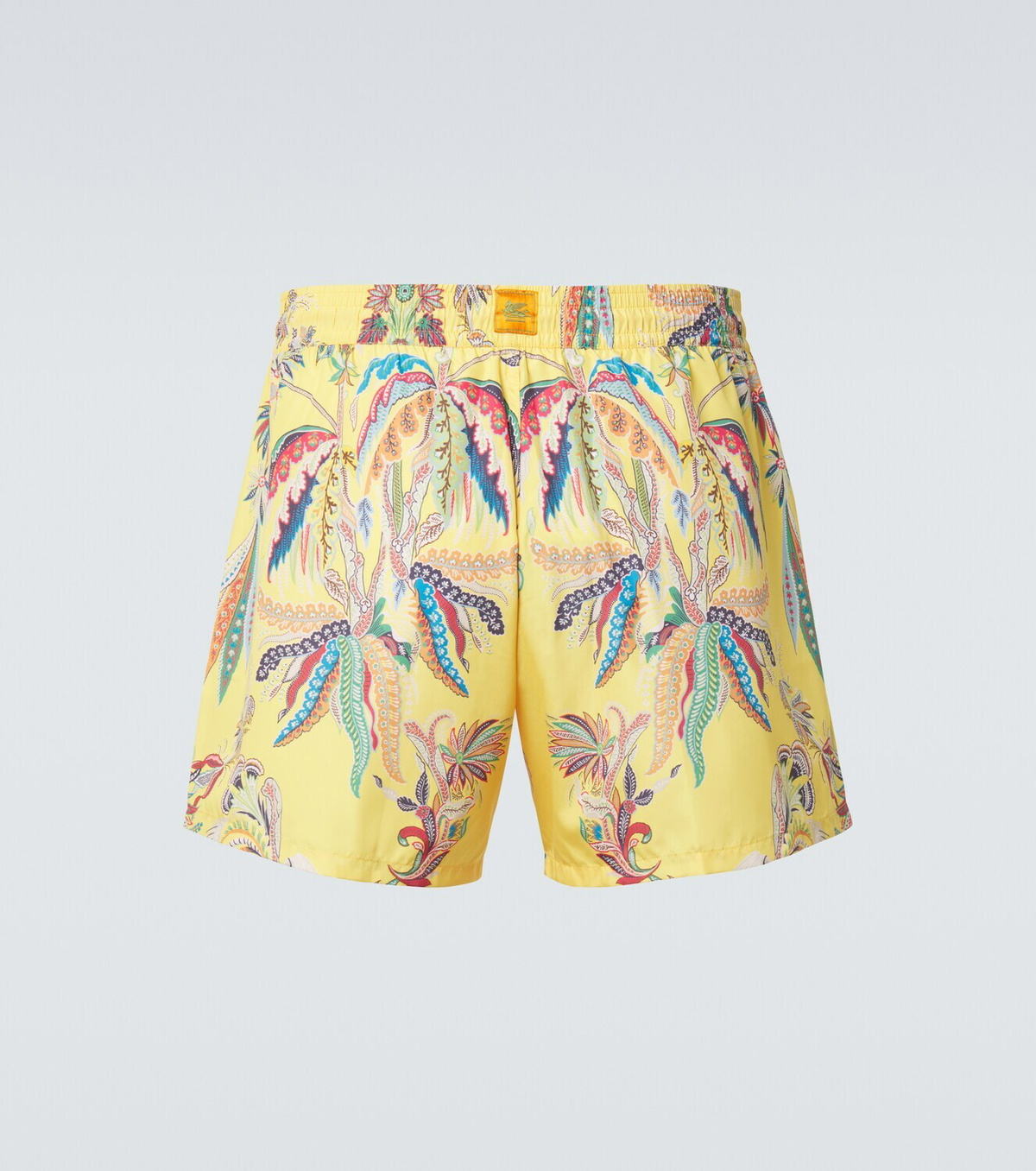 Etro Printed swim trunks