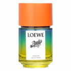 Loewe Ladies Paula's Ibiza Eclectic EDT Spray 3.4 oz Fragrances 8426017075916