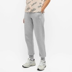 Etre Cecile Women's Être Cécile Classic Track Pant in Grey Marl