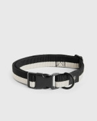 HAY HAY Dogs Collar Flat-M/L White Mens Pet Care