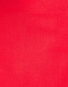 Jijil Womens Mini skirt in Red