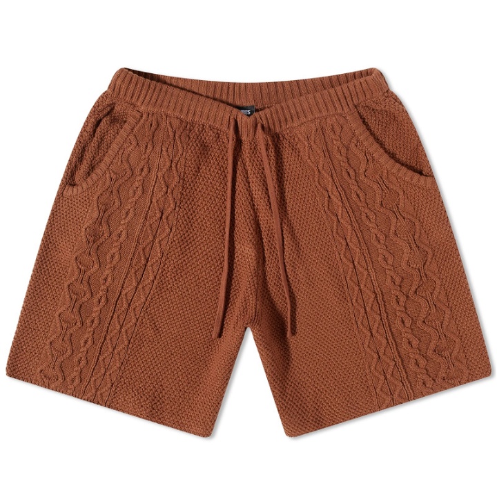 Photo: Pleasures Men's Charlie Knit Shorts in Brown