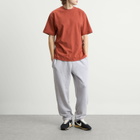 Nike Wool Classics T-Shirts in Mars Stone