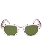 Moscot Lemtosh Sunglasses in Blush/Caliber Green