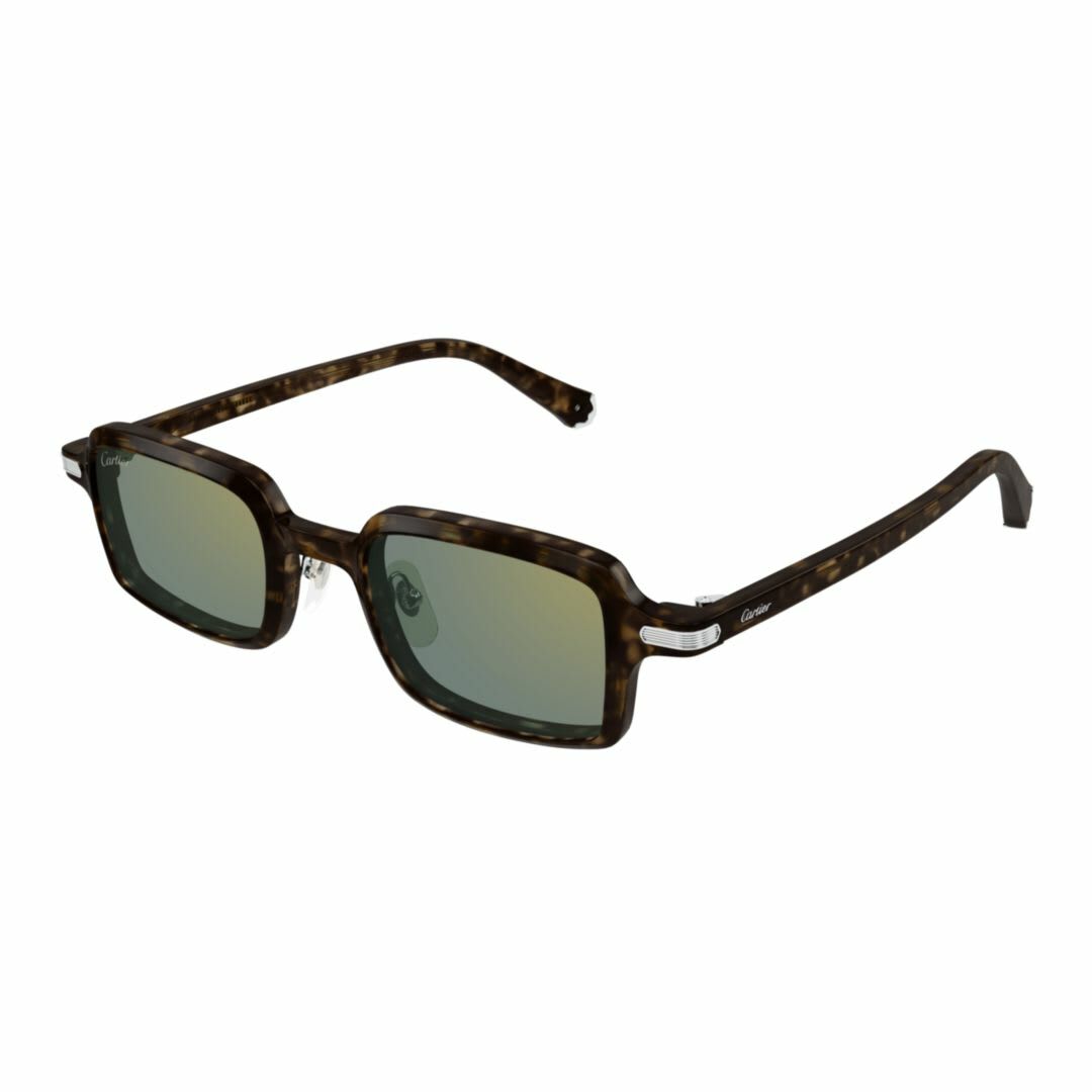 Cartier Eyewear Ct0539s002