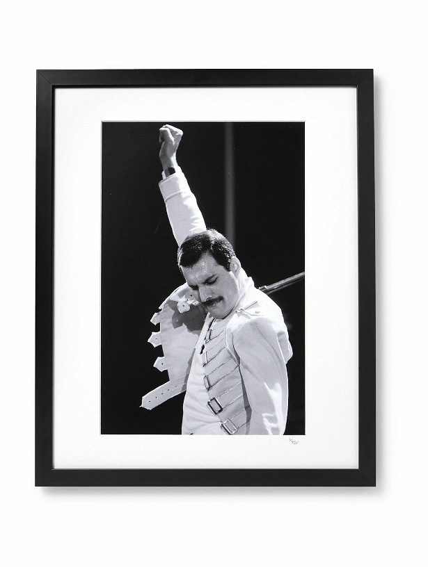 Photo: Sonic Editions - Framed 1986 Freddy Mercury on Stage Print, 16&quot;&quot; x 20&quot;&quot;