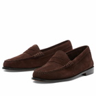 Bass Weejuns Women's Penny Suede Loafer in Chocolate Suede