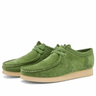 Clarks Originals Men's Wallabee in Green Suede