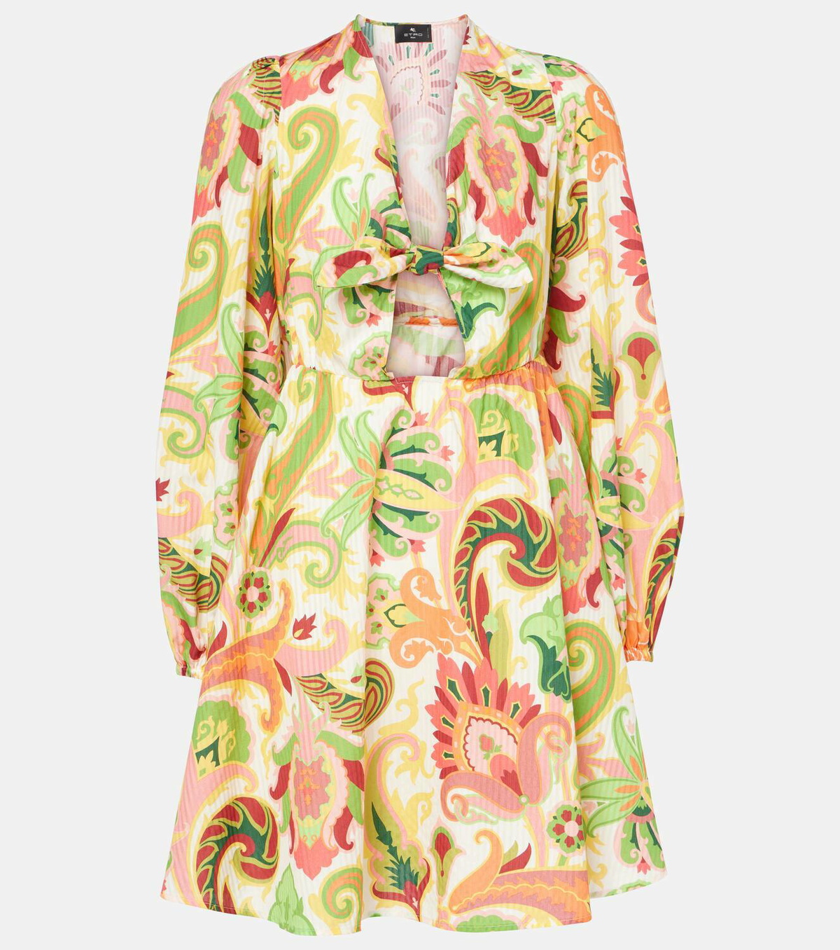 Etro Floral cotton and silk minidress Etro