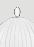 Aurelia Stand and Dome in Transparent