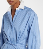 Altuzarra Floyd pinstripe cotton poplin shirt dress