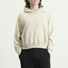 Lady White Co. Men's Mini Hoodie in Paper