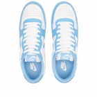 Nike Men's Terminator Low Sneakers in University Blue/White