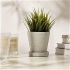 HAY Small Flowerpot with Saucer in Grey