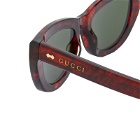 Gucci Women's Rivetto Sunglasses in Havana/Green 