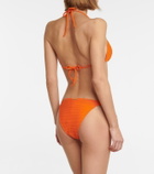 Heidi Klein Madagascar bikini bottoms
