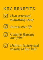 Philip Kingsley Maximizer Root Boosting Spray 250ml