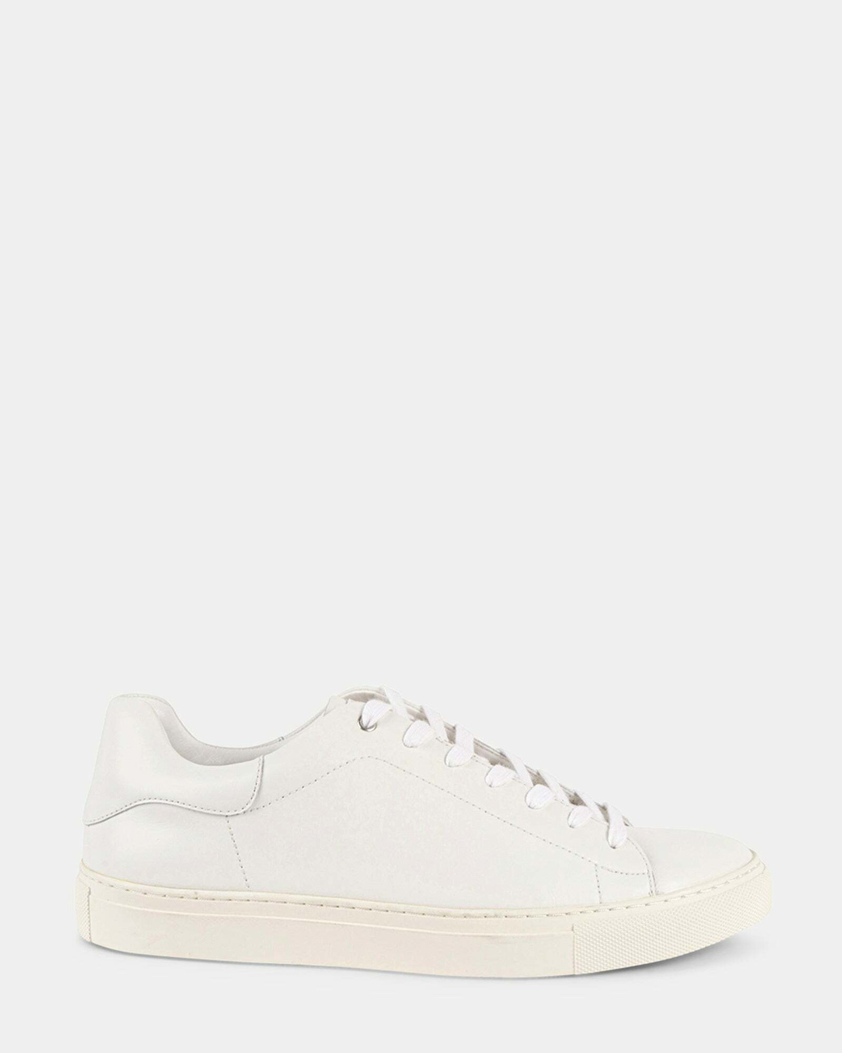 Steve Madden Fogarty Sneakers in White