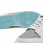 Nike Men's Dunk Low Retro Se Sneaker in Photon/Denim/Grey