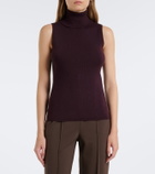 Jardin des Orangers Ribbed-knit virgin wool turtleneck top