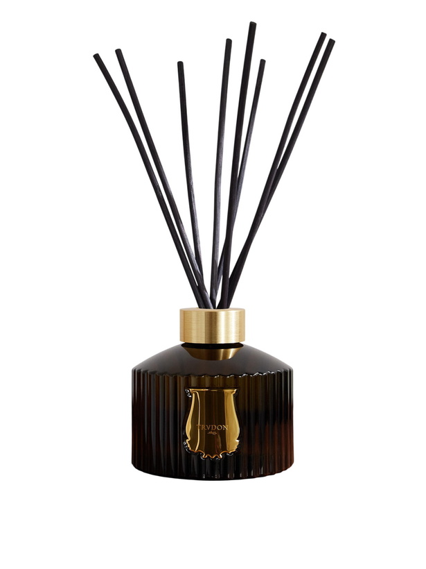 Photo: Trudon - Ernest Reed Diffuser - Men