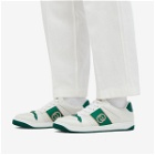 Gucci Men's Screener Sneakers in White/Green