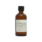 Aesop Screen 1 Elaborate Home Offering Set in Multi 