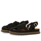Dr. Martens San Fisherman Sandal in Black