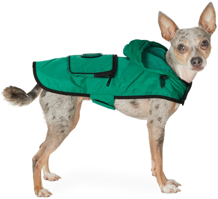 Photo: Moncler Genius Green Poldo Dog Couture Edition Mondog Cloak Jacket
