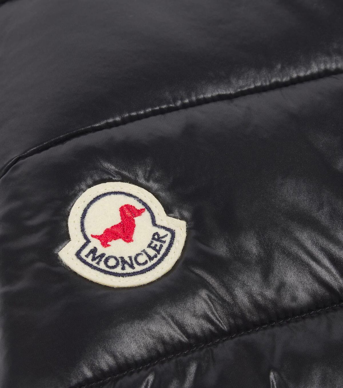 Moncler Dog coat