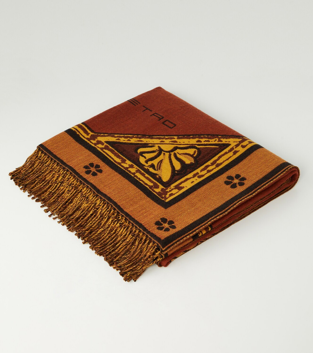 Etro Herald fringed wool throw