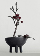 101 Copenhagen Duck Bowl