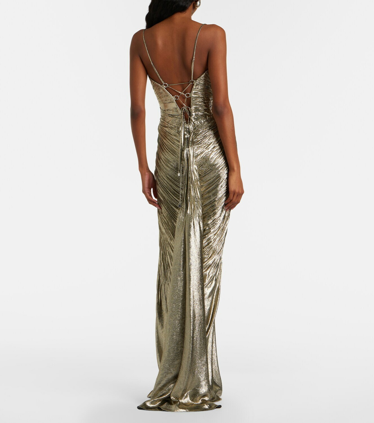 Maria Lucia Hohan Dakota lamé chiffon gown