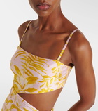 Zimmermann Golden Scarf cut-out floral swimsuit