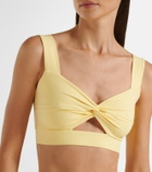 Norba Shell cutout sports bra