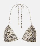 Roberto Cavalli Printed bikini top