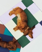 HAY HAY Dogs Travel Blanket-80 x 80 Multi-color Mens Pet Care