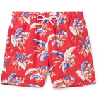 NN07 - Jules Printed Swim Shorts - Red