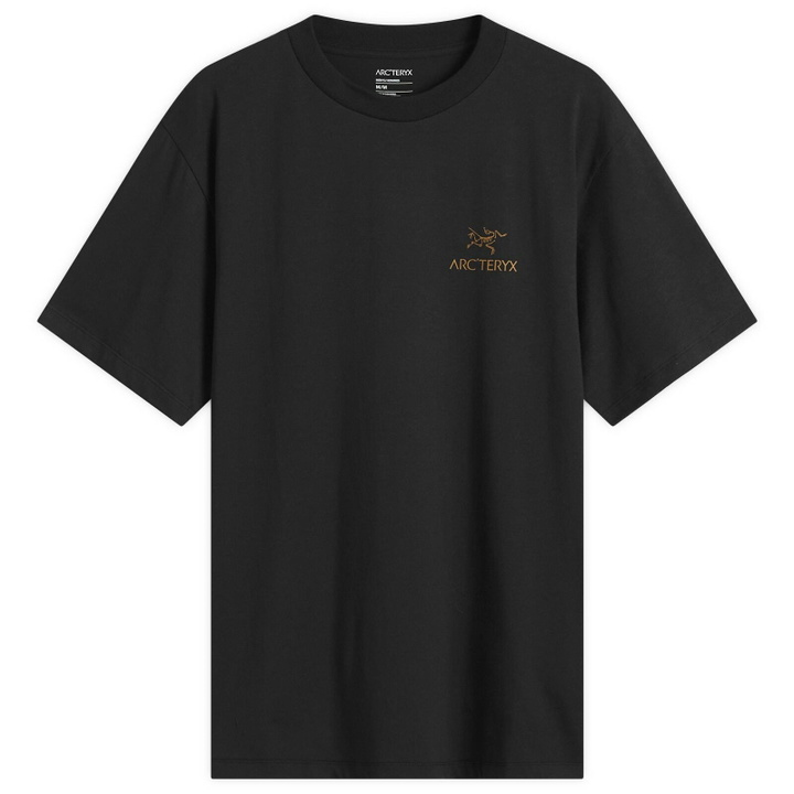 Photo: Arc'teryx Men's Kragg SL Cotton Bird Word T-Shirt in 24K Black